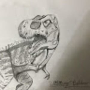 Meet your Posher, Kristi